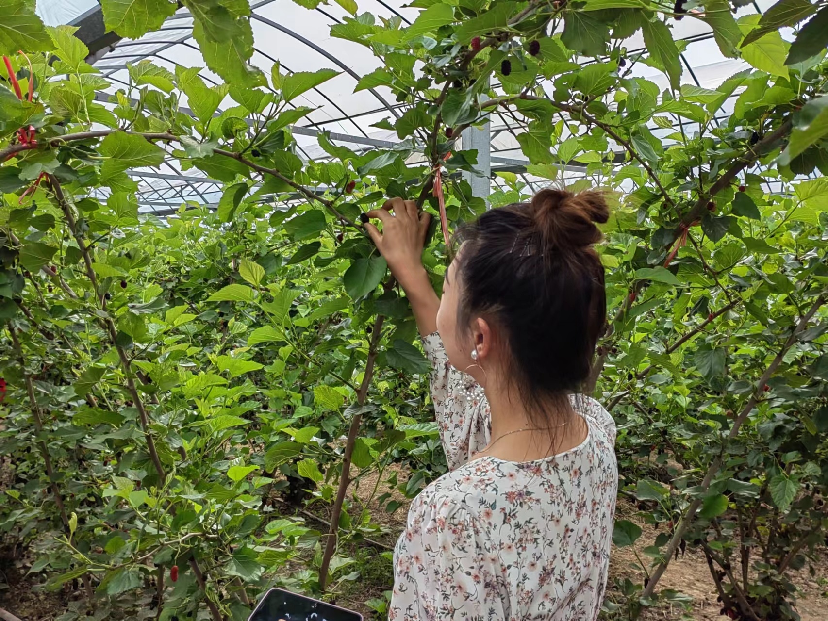 微信图片_2022050718382622.jpg